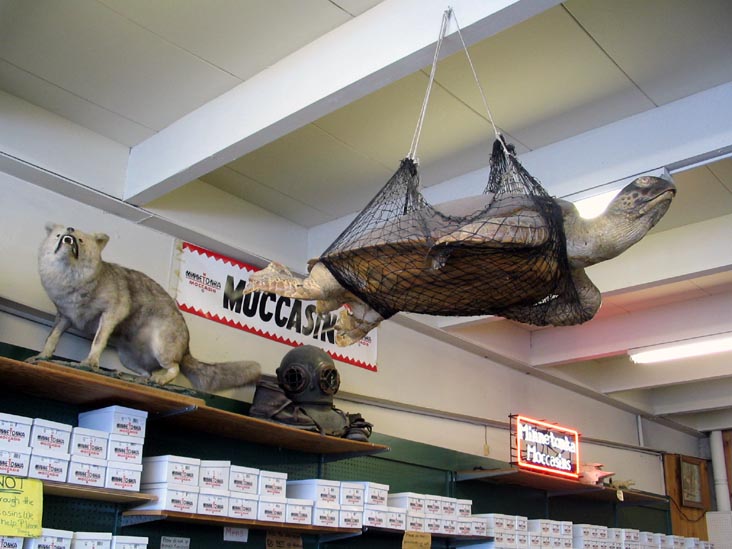 Tom-Tom Shop, 175 Canada Street, Lake George, New York, February 18, 2007