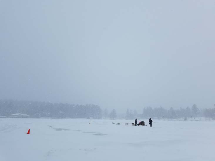 Dog Sled Ride, Mirror Lake at Golden Arrow Lakeside Resort, Lake Placid, New York, January 20, 2019