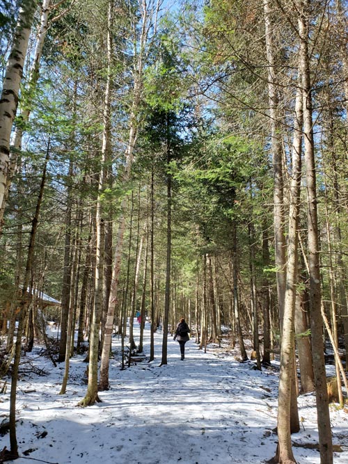 Henry's Woods, Lake Placid, New York, March 30, 2021