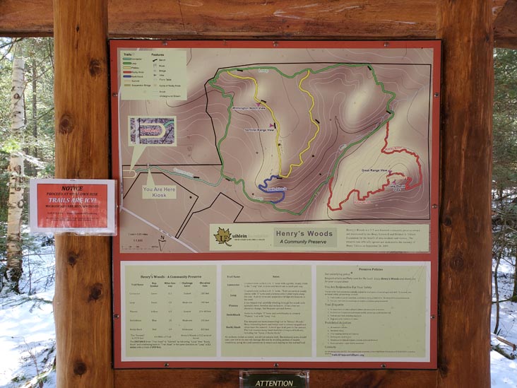 Henry's Woods, Lake Placid, New York, March 30, 2021