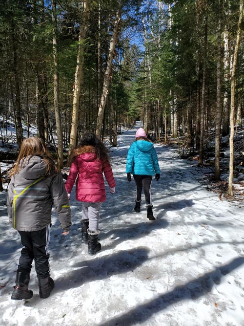 Henry's Woods, Lake Placid, New York, March 30, 2021