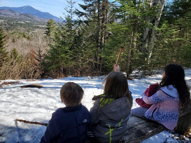 Henry's Woods, Lake Placid, New York, March 30, 2021