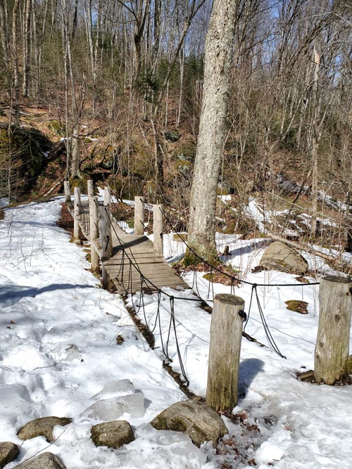 Henry's Woods, Lake Placid, New York, March 30, 2021