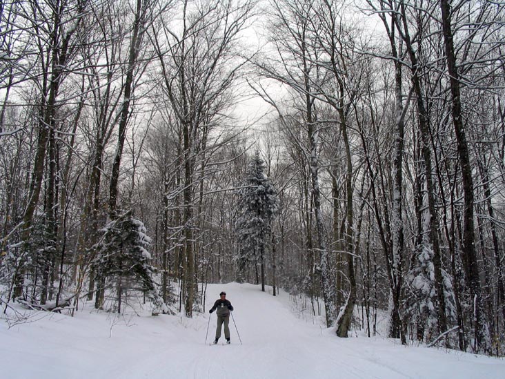 InnerLoopen Cross Country Trail, Olympic Sports Complex, Lake Placid, New York