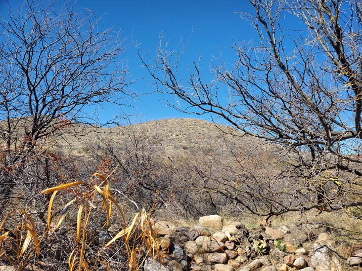 Kartchner Caverns State Park, Benson, Arizona, February 21, 2024