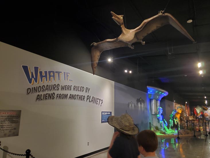 The Thing?, Cochise County, Arizona, February 21, 2024