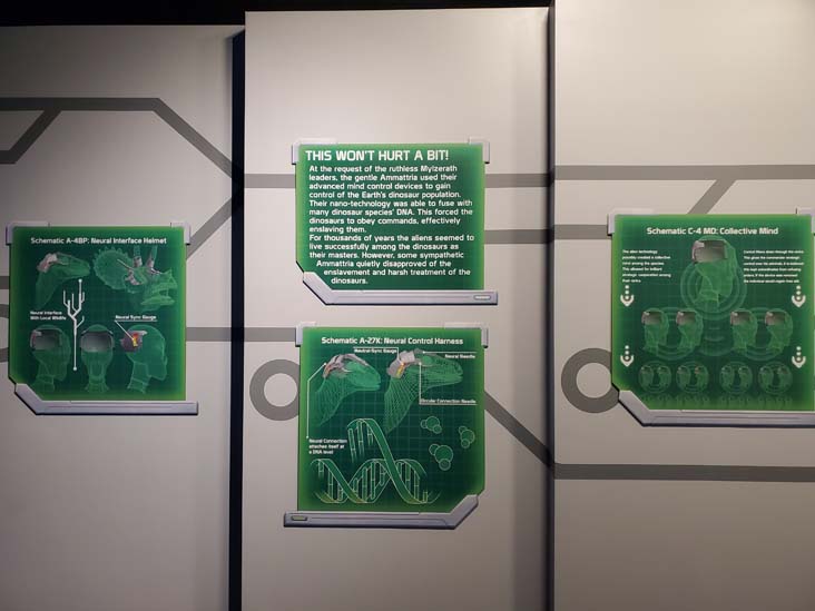 The Thing?, Cochise County, Arizona, February 21, 2024