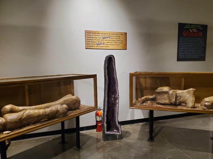 The Thing?, Cochise County, Arizona, February 21, 2024