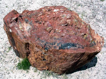 Giant Logs Trail, Petrified Forest National Park, Arizona
