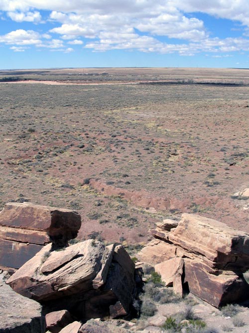 Newspaper Rock, Petrified Forest National Park, Arizona, March 30, 2007