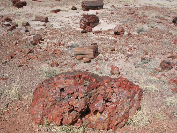 Giant Logs Trail, Petrified Forest National Park, Arizona, March 30, 2007