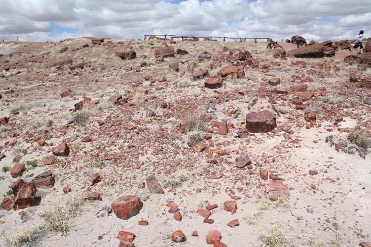 Giant Logs Trail, Petrified Forest National Park, Arizona, March 30, 2007