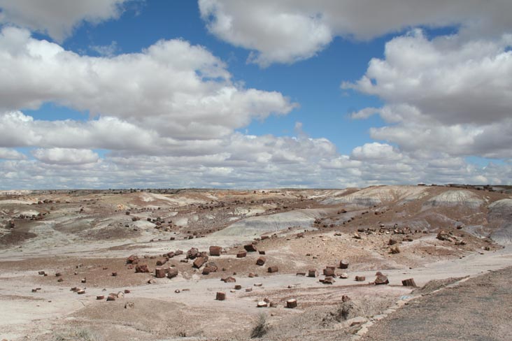 Crystal Forest, Petrified Forest National Park, Arizona, March 30, 2007