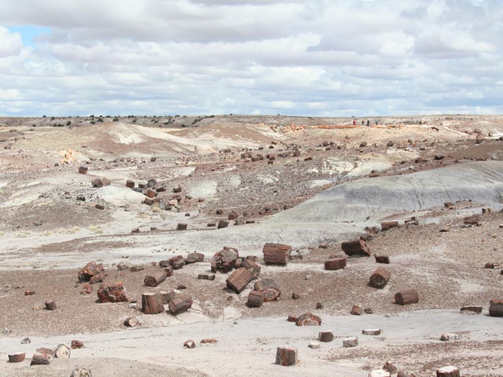 Crystal Forest, Petrified Forest National Park, Arizona, March 30, 2007