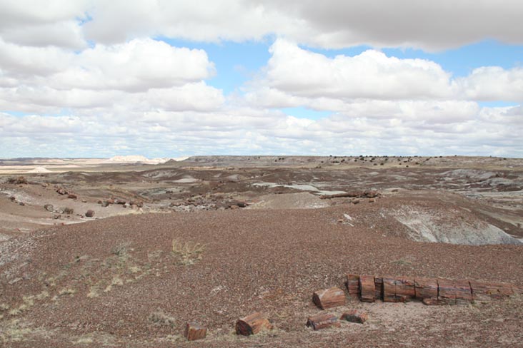 Crystal Forest, Petrified Forest National Park, Arizona, March 30, 2007