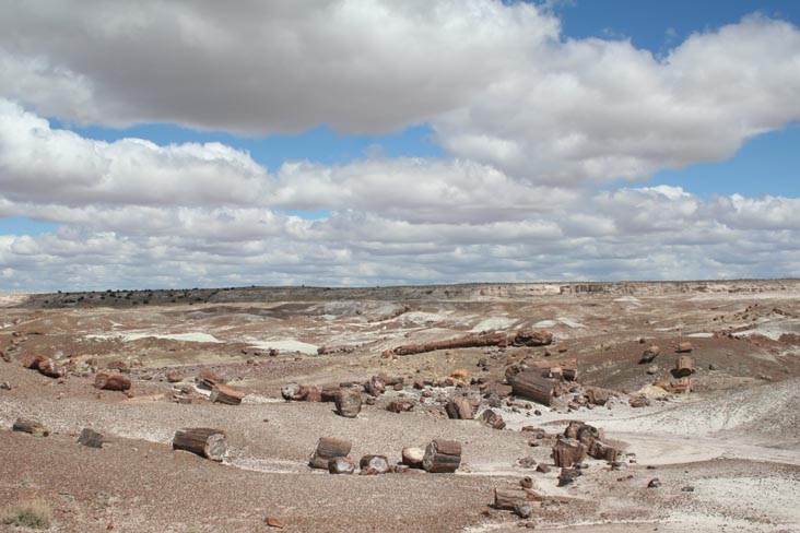 Crystal Forest, Petrified Forest National Park, Arizona, March 30, 2007