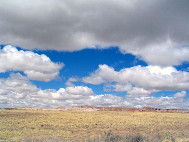 Petrified Forest National Park, Arizona, March 30, 2007