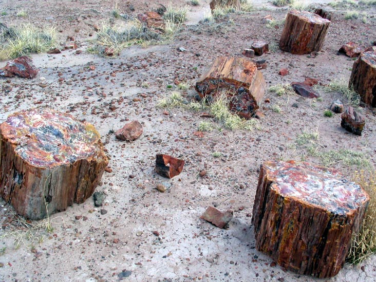 Giant Logs Trail, Petrified Forest National Park, Arizona, March 30, 2007