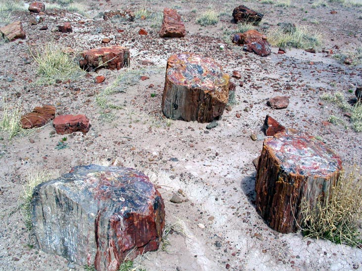 Giant Logs Trail, Petrified Forest National Park, Arizona, March 30, 2007