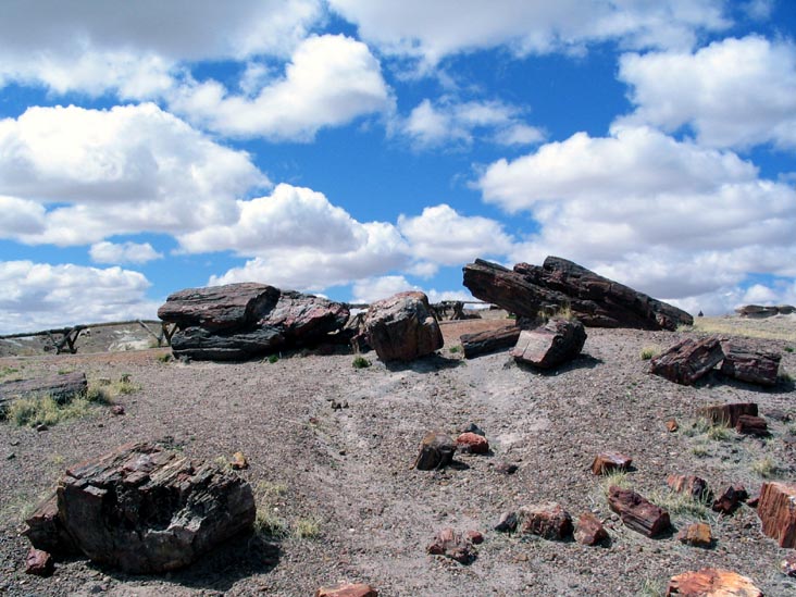 Giant Logs Trail, Petrified Forest National Park, Arizona, March 30, 2007