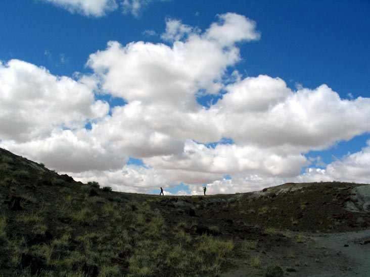 Giant Logs Trail, Petrified Forest National Park, Arizona, March 30, 2007