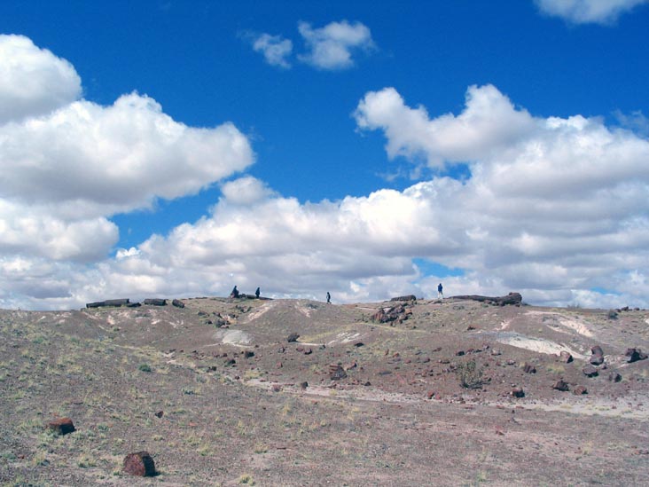 Giant Logs Trail, Petrified Forest National Park, Arizona, March 30, 2007