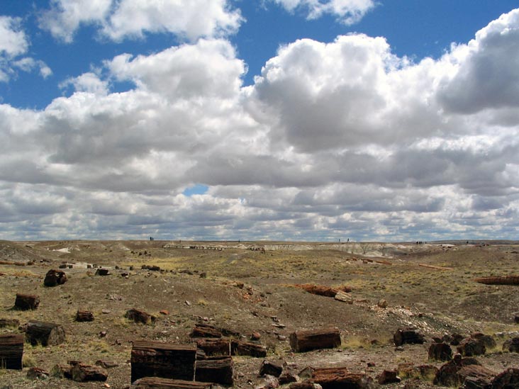 Crystal Forest, Petrified Forest National Park, Arizona, March 30, 2007