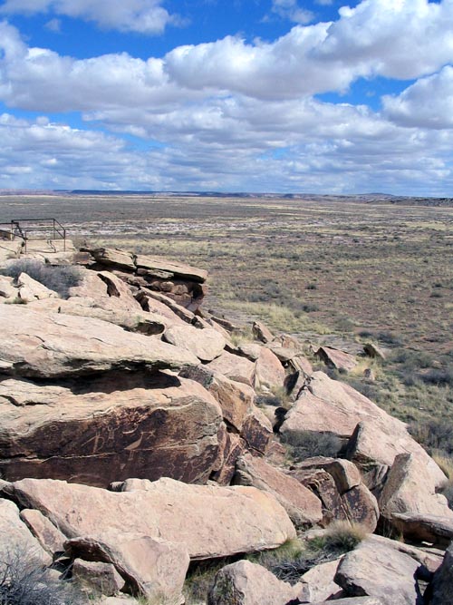 Petroglyph, Puerco Pueblo, Petrified Forest National Park, Arizona, March 30, 2007