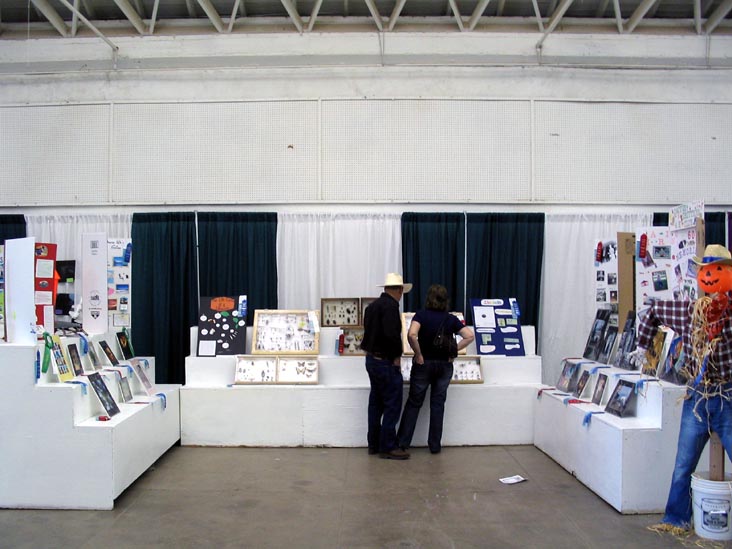 4H Exhibits, Kitchen Craft Home Arts Center, Arizona State Fair, Phoenix, Arizona