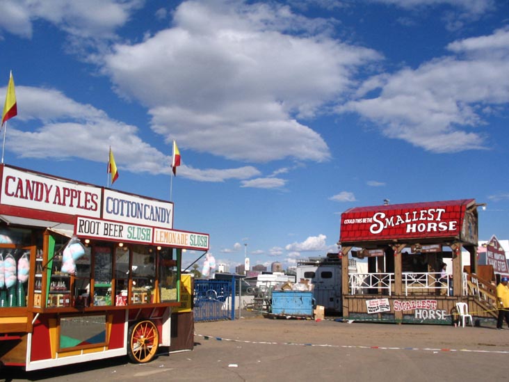 Smallest Horse, Arizona State Fair, Phoenix, Arizona, October 15, 2006