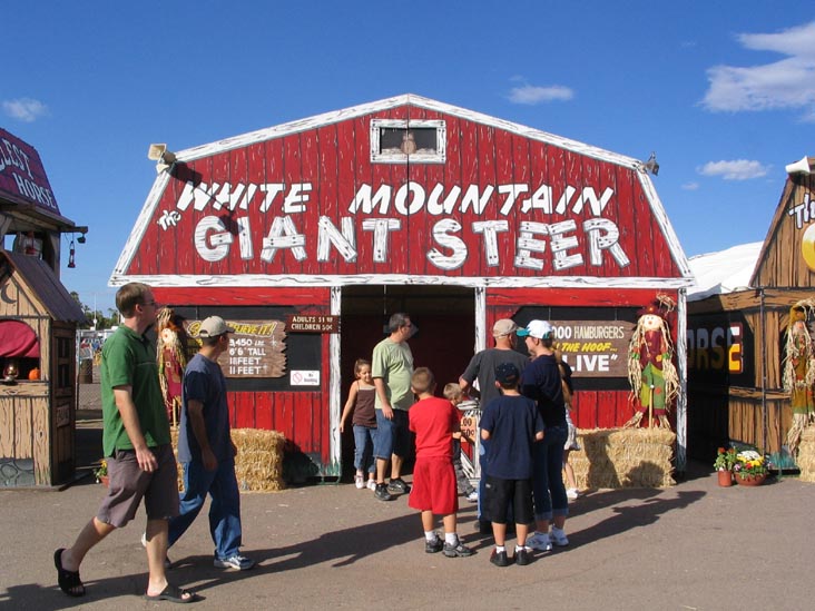 The White Mountain Giant Steer, Arizona State Fair, Phoenix, Arizona