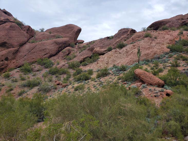 Echo Canyon Trail, Camelback Mountain, Phoenix, Arizona, February 21, 2023