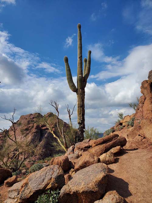 Echo Canyon Trail, Camelback Mountain, Phoenix, Arizona, February 21, 2023