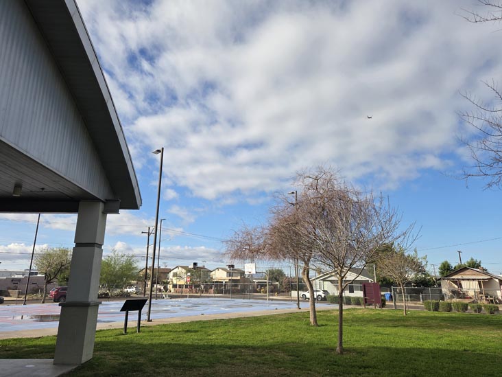 Central Park, Phoenix, Arizona, February 17, 2026