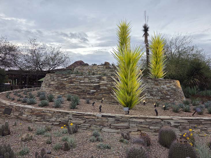 Desert Towers, Desert Botancial Garden, Phoenix, Arizona, February 16, 2026