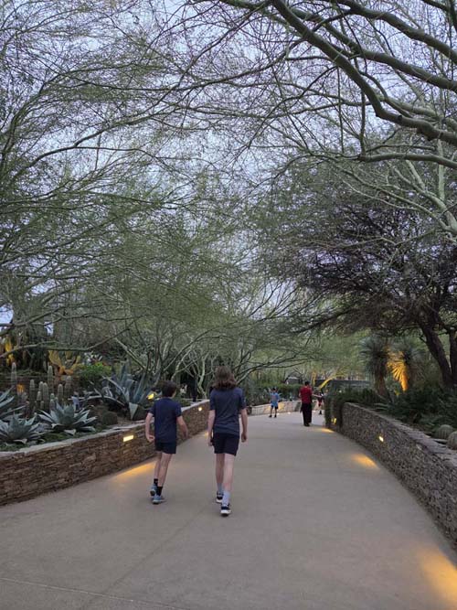 Desert Botancial Garden, Phoenix, Arizona, February 16, 2026