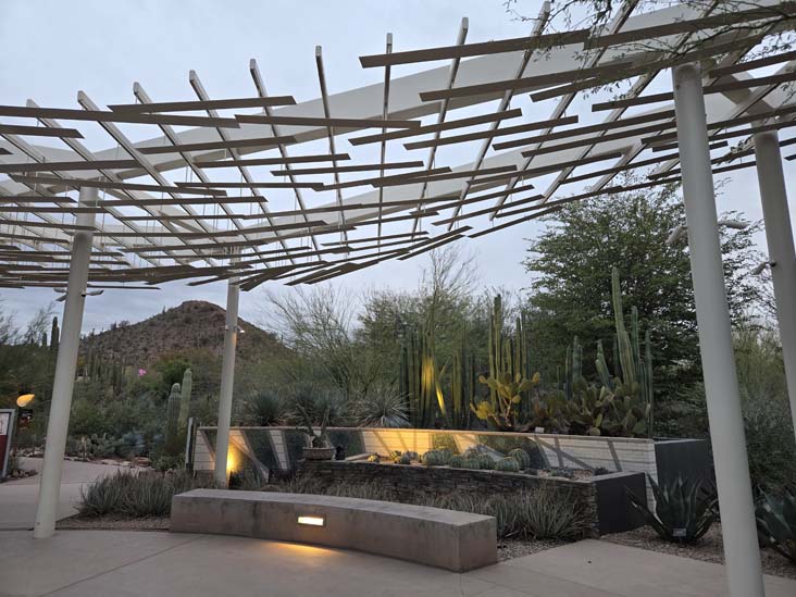 Desert Botancial Garden, Phoenix, Arizona, February 16, 2026