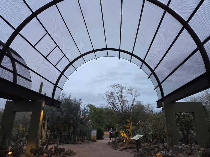 Desert Botancial Garden, Phoenix, Arizona, February 16, 2026