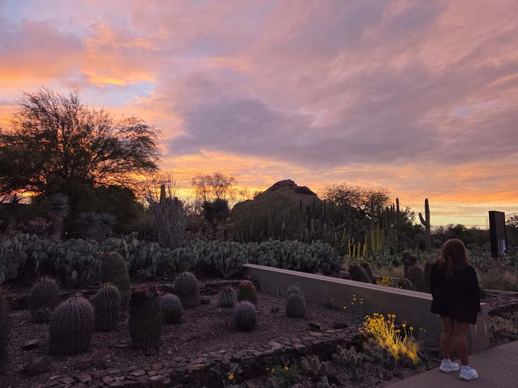 Desert Botancial Garden, Phoenix, Arizona, February 16, 2026