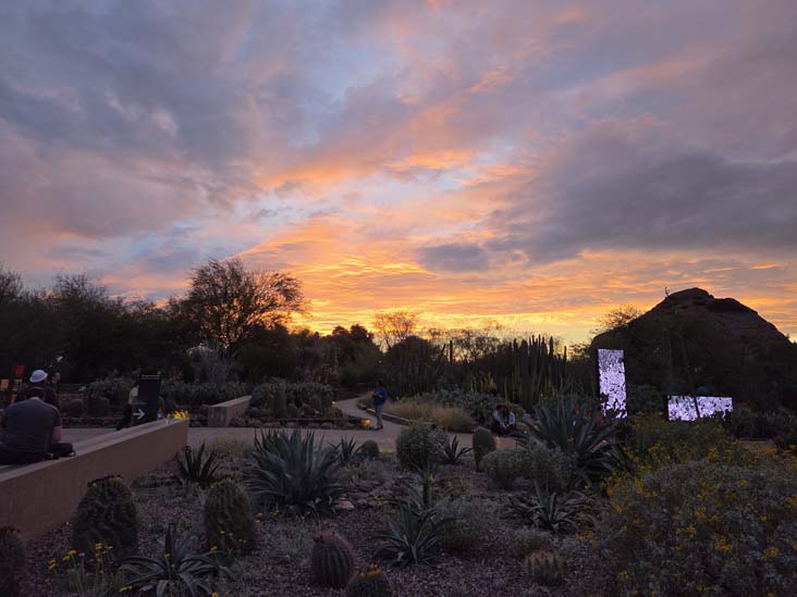 Desert Botancial Garden, Phoenix, Arizona, February 16, 2026