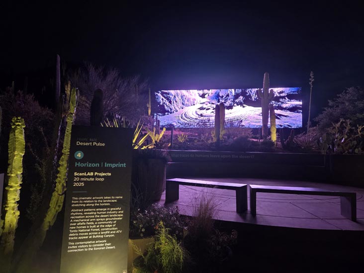 Desert Pulse, Desert Botancial Garden, Phoenix, Arizona, February 16, 2026