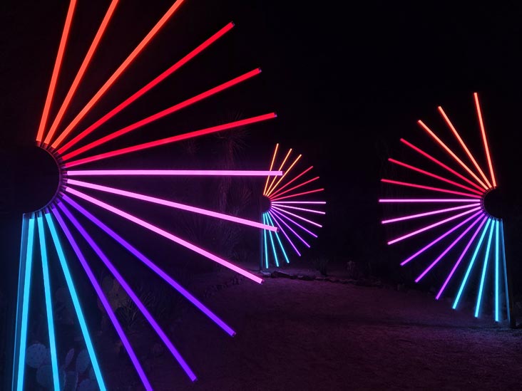 Desert Botancial Garden, Phoenix, Arizona, February 16, 2026