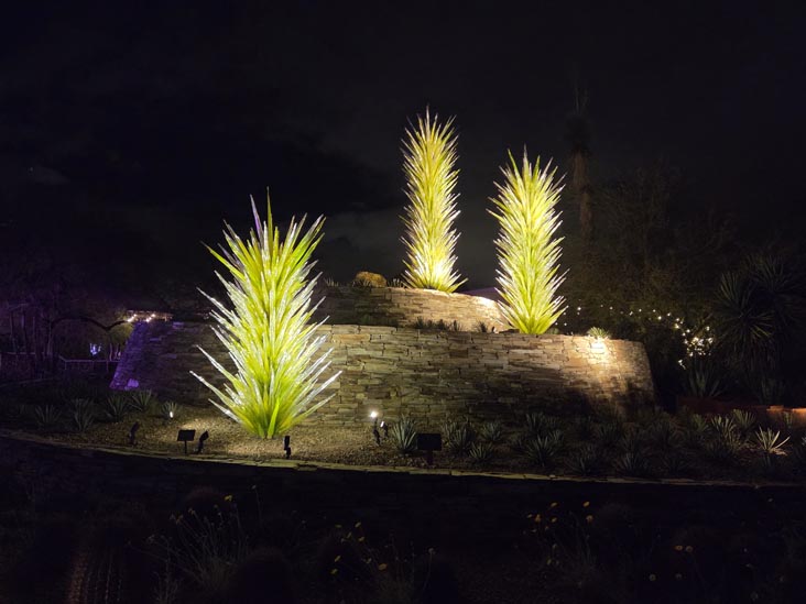 Desert Towers, Desert Botancial Garden, Phoenix, Arizona, February 16, 2026