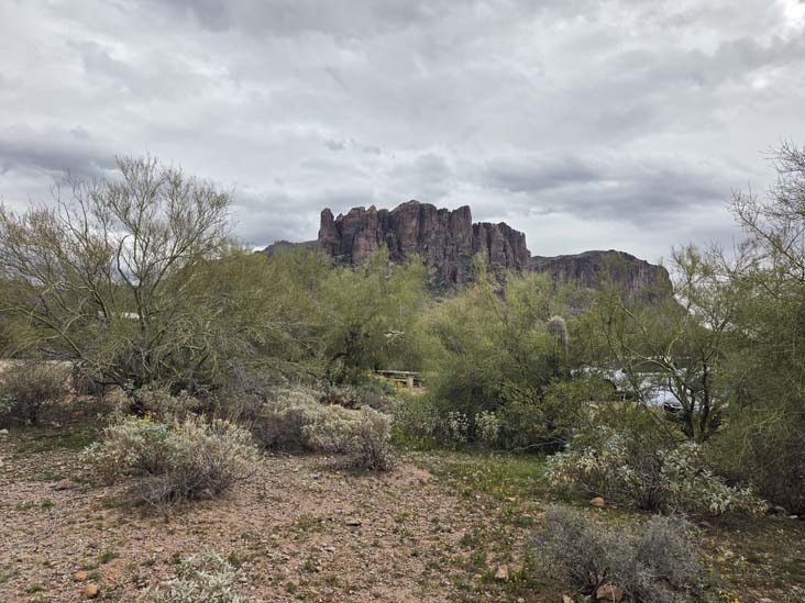 Lost Dutchman State Park, Apache Junction, Arizona, February 18, 2026