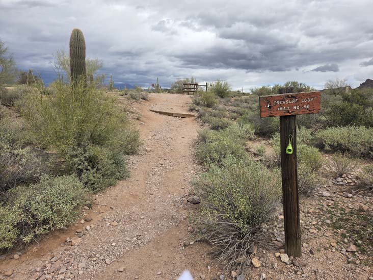 Treasure Loop Trail, Lost Dutchman State Park, Apache Junction, Arizona, February 18, 2026