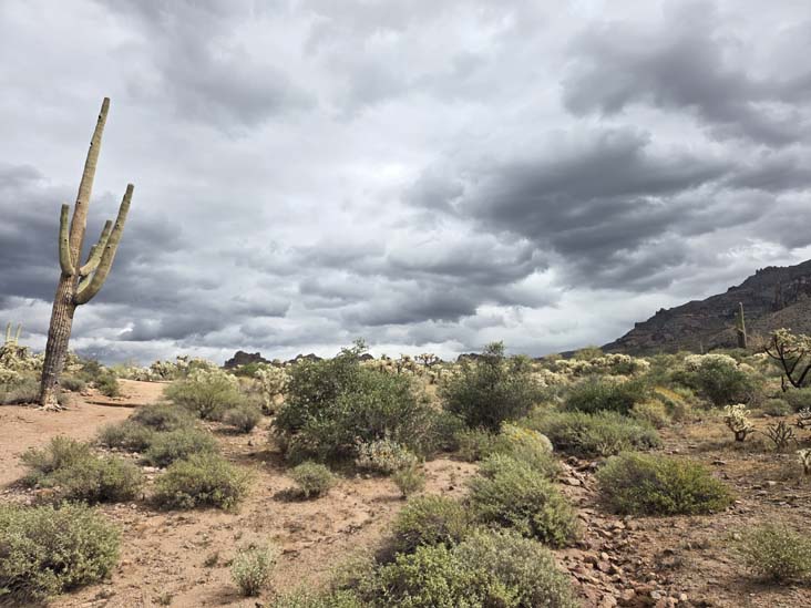 Treasure Loop Trail, Lost Dutchman State Park, Apache Junction, Arizona, February 18, 2026