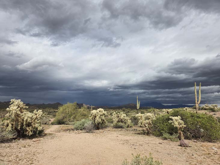 Treasure Loop Trail, Lost Dutchman State Park, Apache Junction, Arizona, February 18, 2026