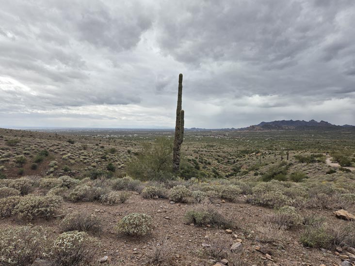 Treasure Loop Trail, Lost Dutchman State Park, Apache Junction, Arizona, February 18, 2026