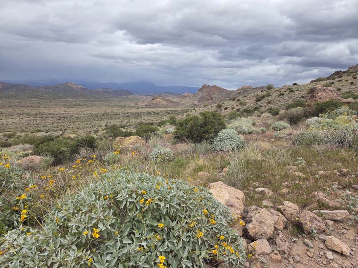 Treasure Loop Trail, Lost Dutchman State Park, Apache Junction, Arizona, February 18, 2026