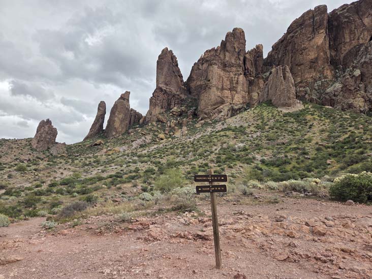 Treasure Loop Trail, Lost Dutchman State Park, Apache Junction, Arizona, February 18, 2026